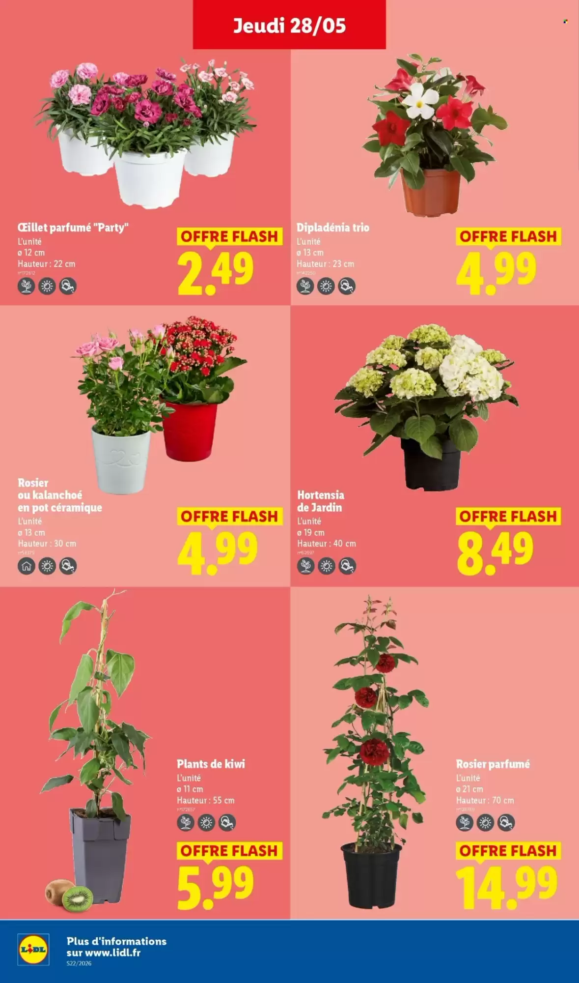 Catalogue Lidl de la semaine - page 28