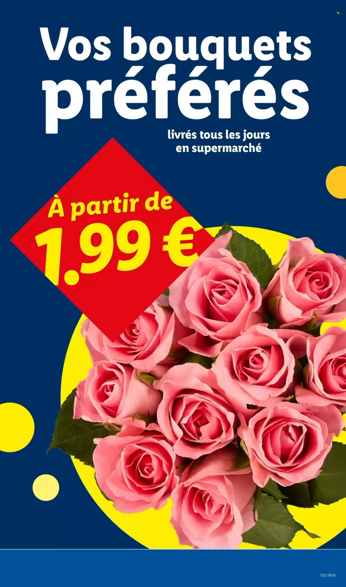 Catalogue Lidl de la semaine - page 29