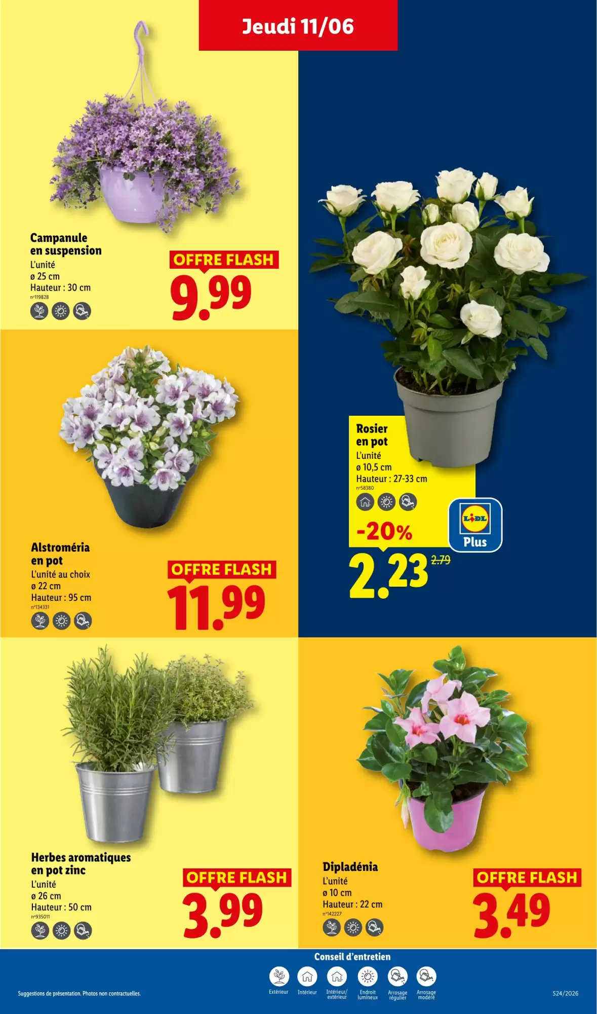 Catalogue Lidl de la semaine - page 29