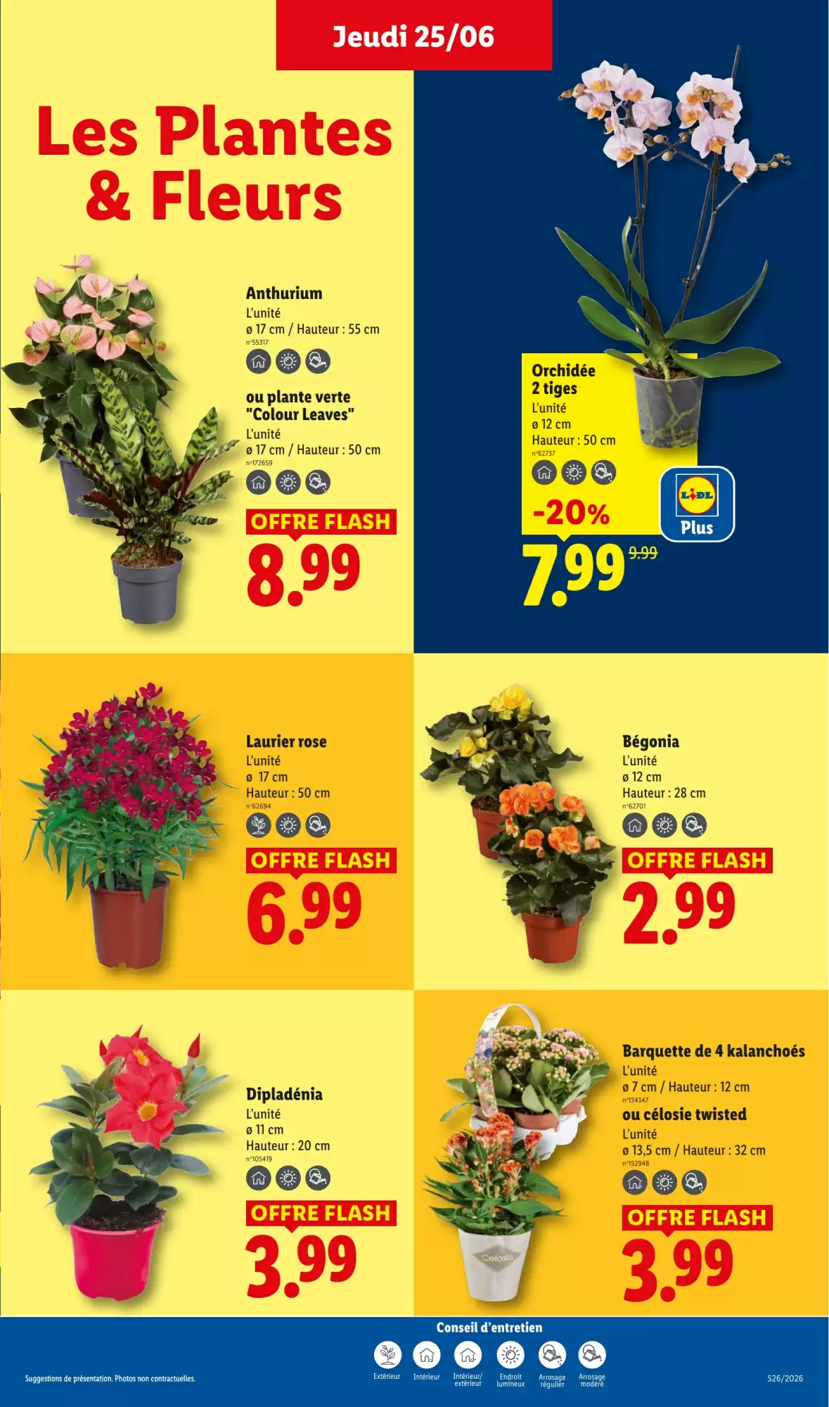 Catalogue Lidl de la semaine - page 29