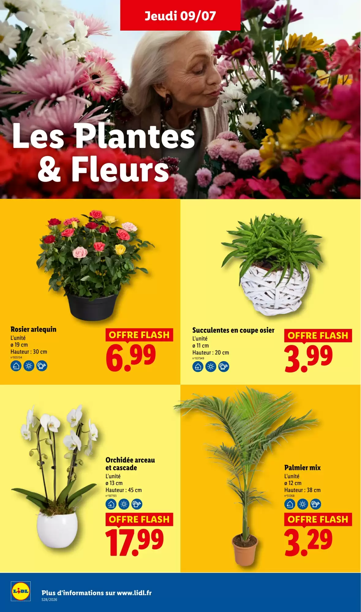 Catalogue Lidl 9 au 15 juillet 2026 - page 29