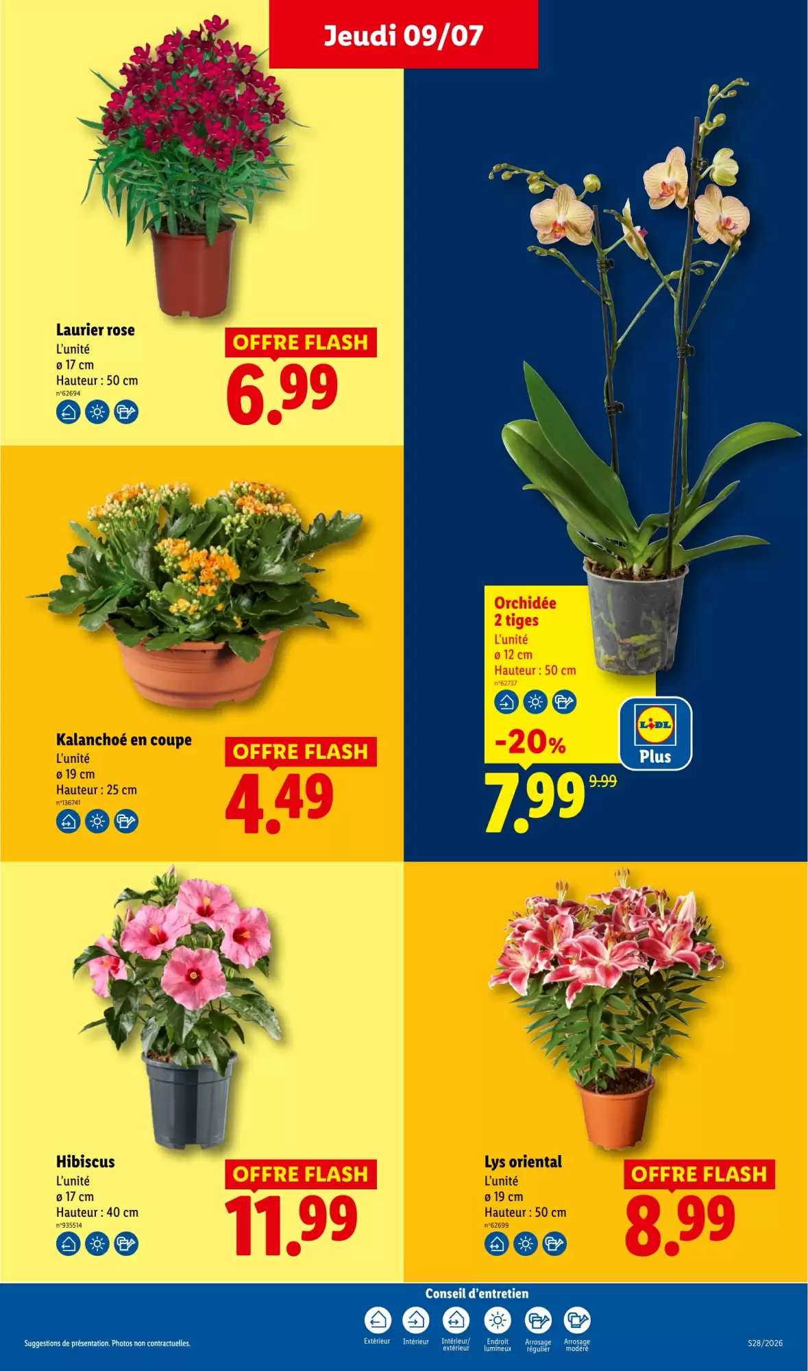 Catalogue Lidl 9 au 15 juillet 2026 - page 30