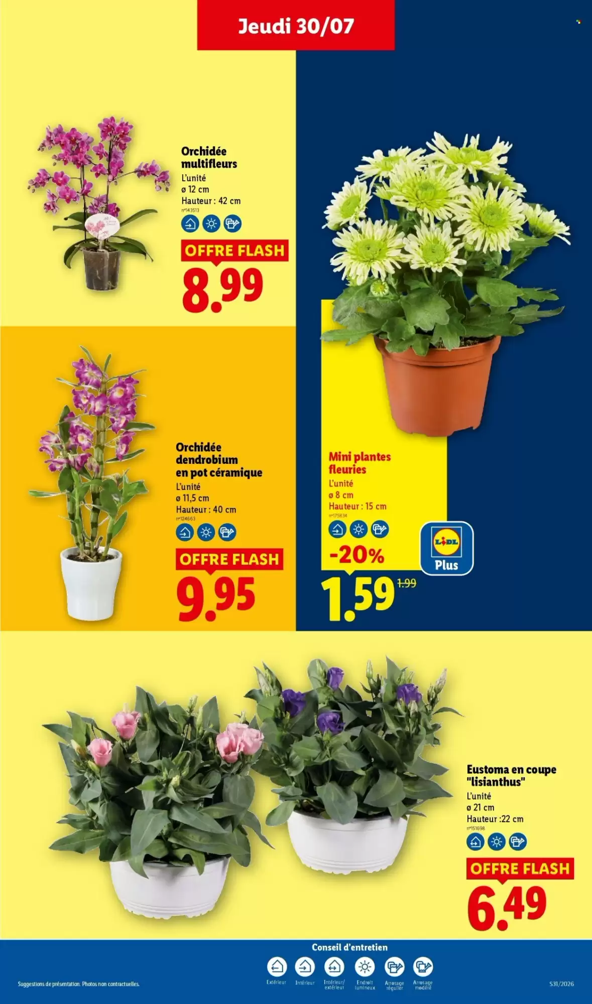 Catalogue Lidl 30 juillet au 5 août 2026 - page 29