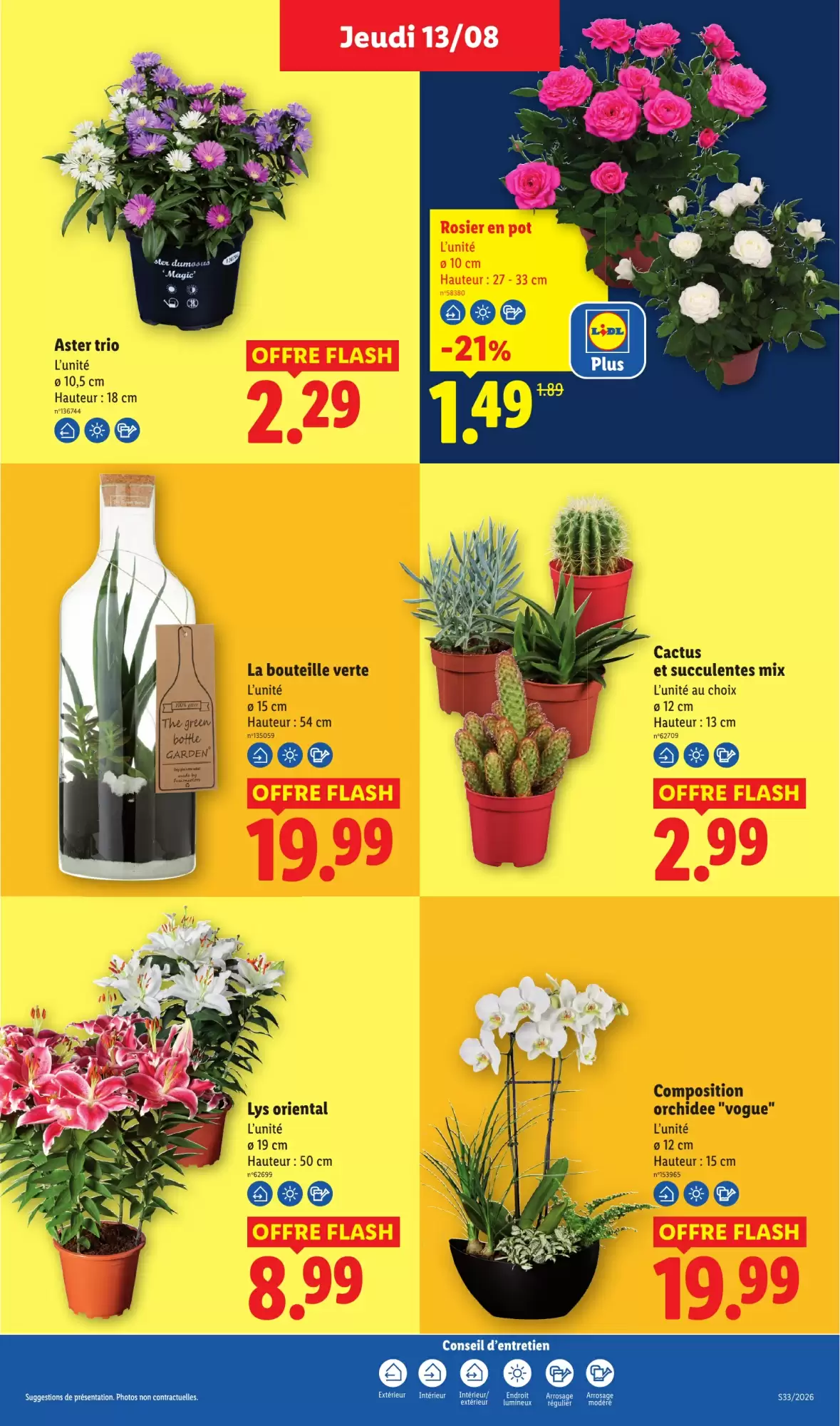 Catalogue Lidl 13 au 19 août 2026 - page 29