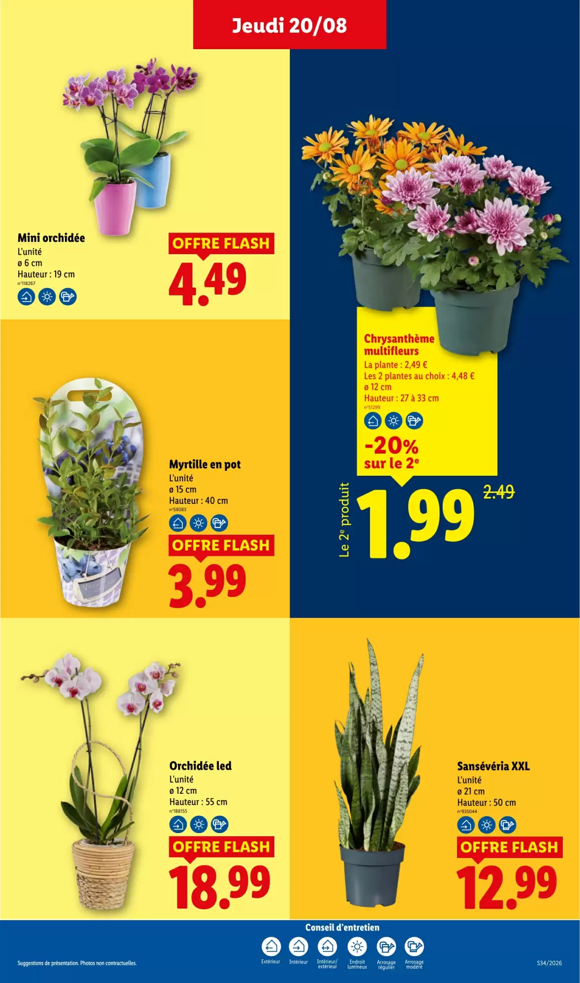 Catalogue Lidl 20 au 26 août 2026 - page 29