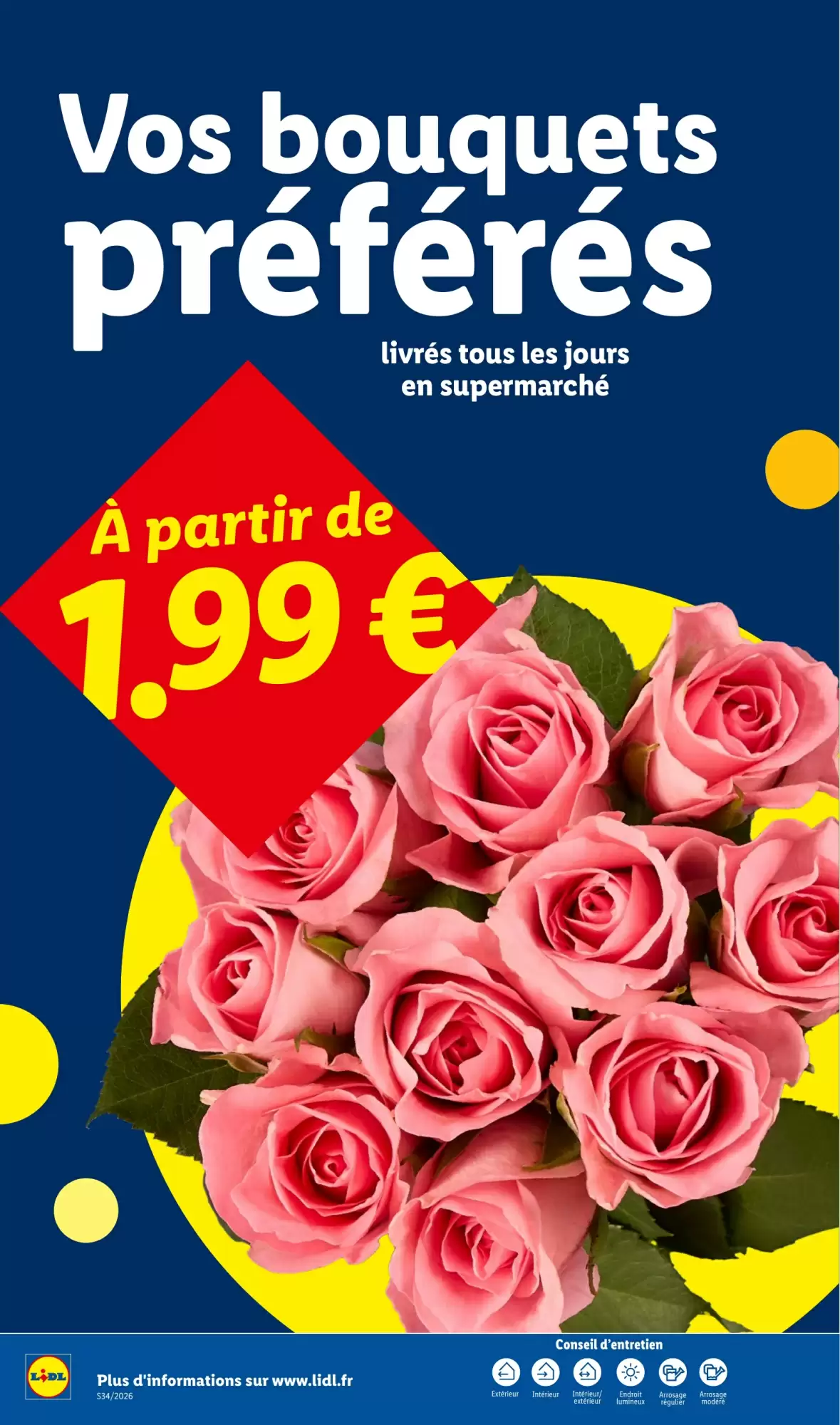 Catalogue Lidl 20 au 26 août 2026 - page 34