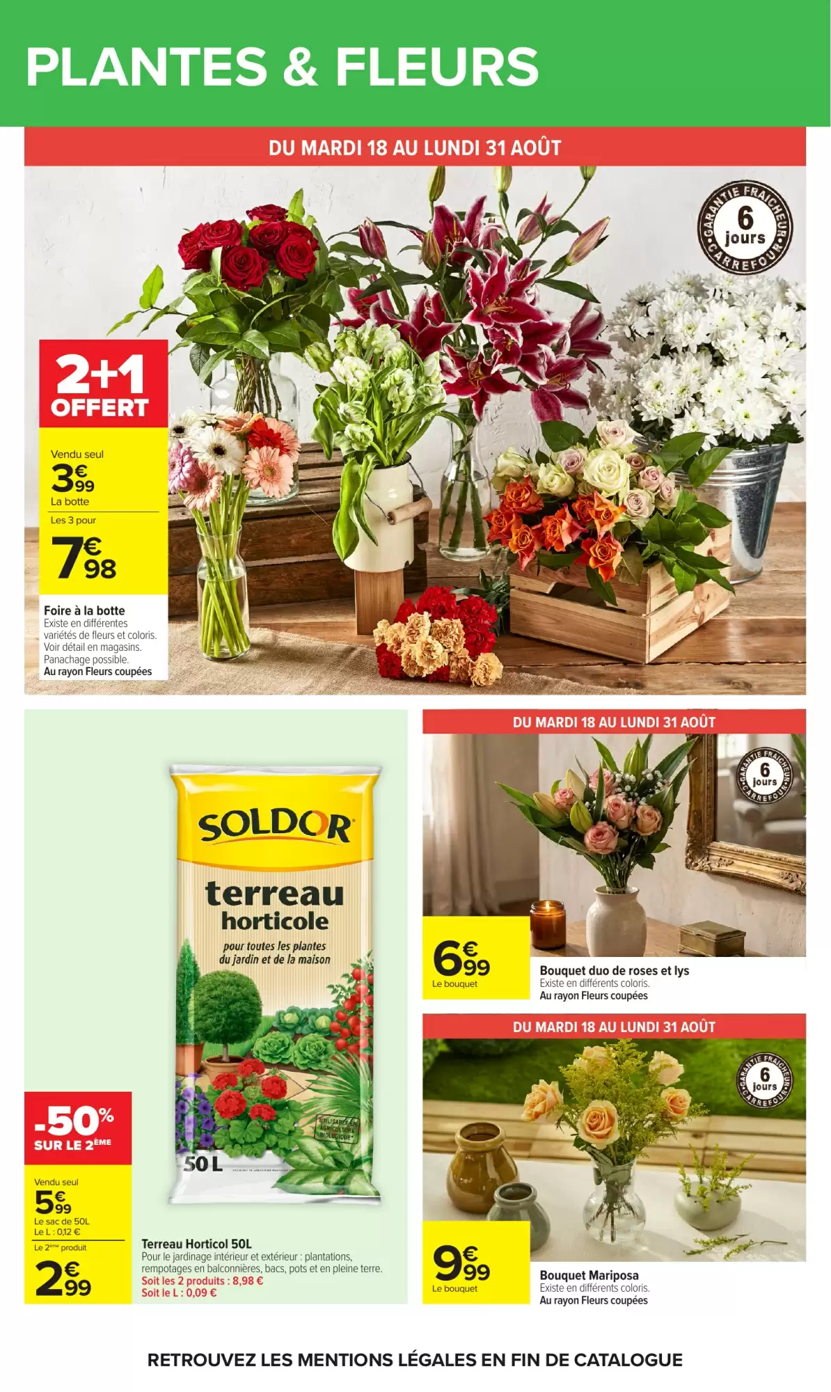 Catalogue Carrefour 17 au 31 août 2026 - page 67