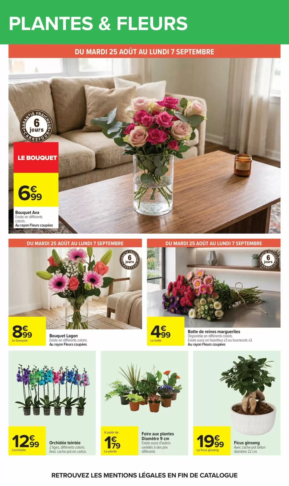 Catalogue Carrefour du 24 août au 7 septembre 2026 – page 66