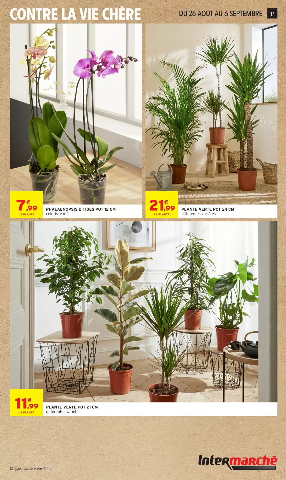 Catalogue Intermarché Hyper du 25 août — 6 septembre 2026 – page 17