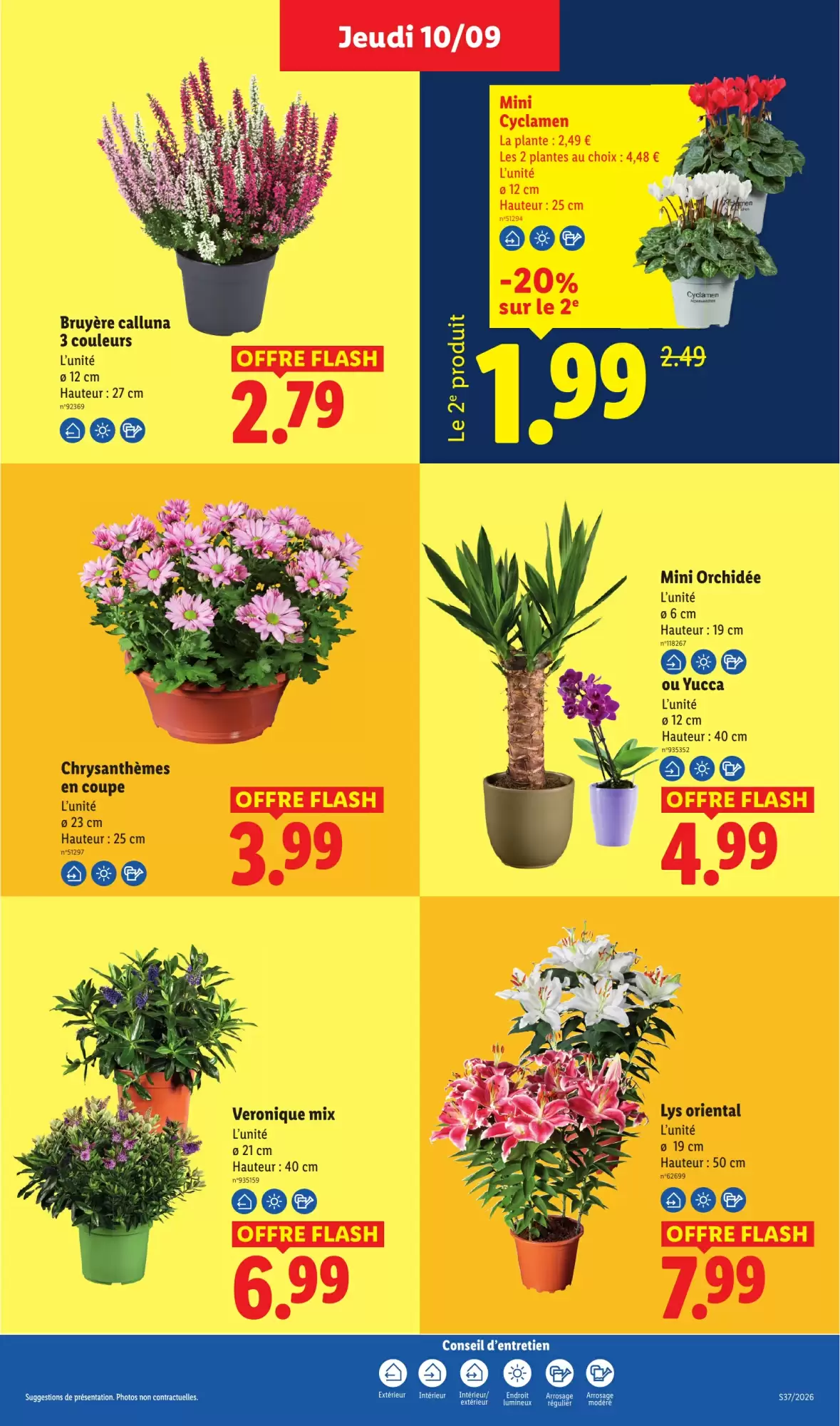 Catalogue Lidl du 10 au 16 septembre 2026 – page 10