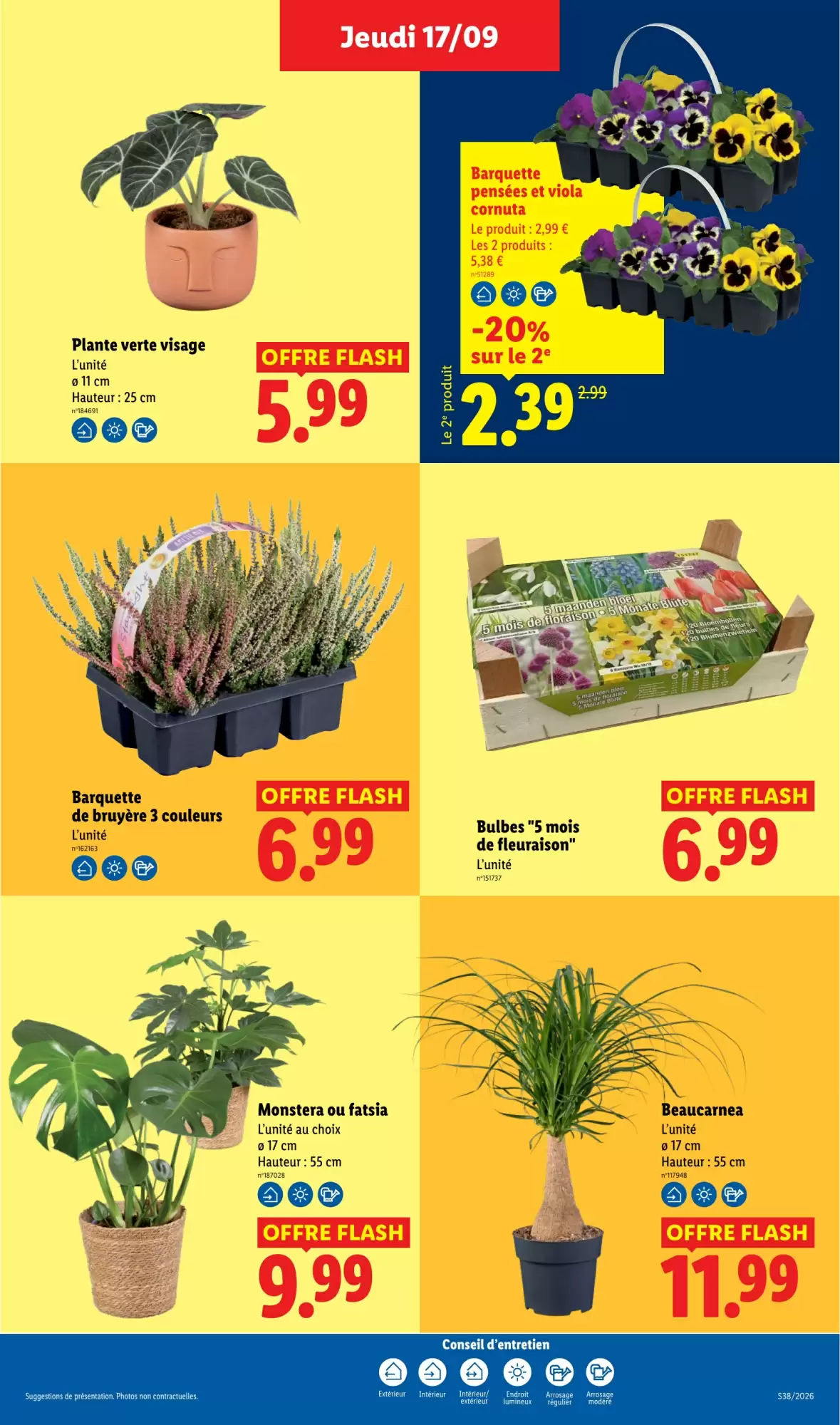 Catalogue Lidl du 17 au 23 septembre 2026 – page 29