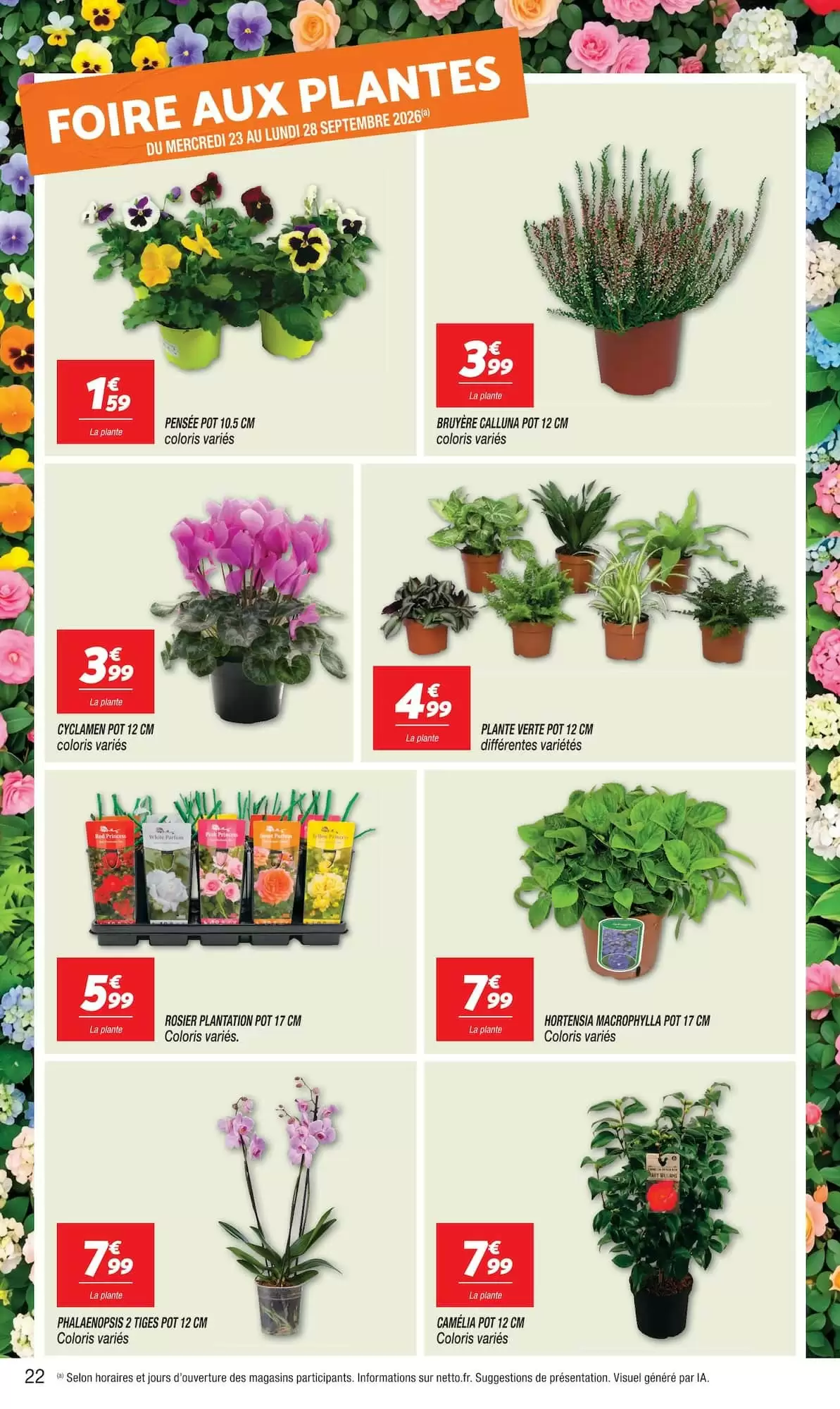 Catalogue Netto du 22 au 28 septembre 2026, page 22 sur 24