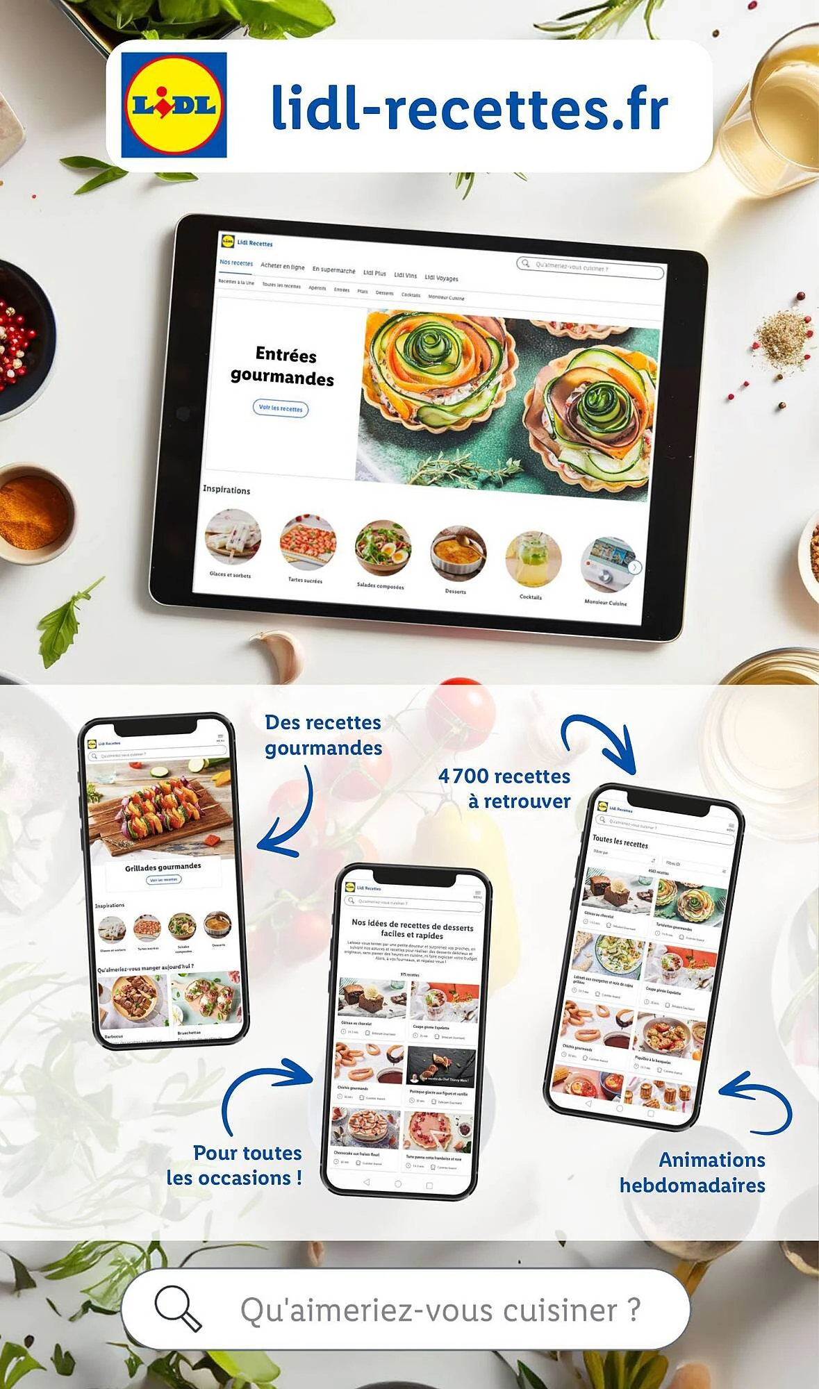 Catalogue Lidl du 29 octobre au 4 novembre 2026, page 13 sur 64