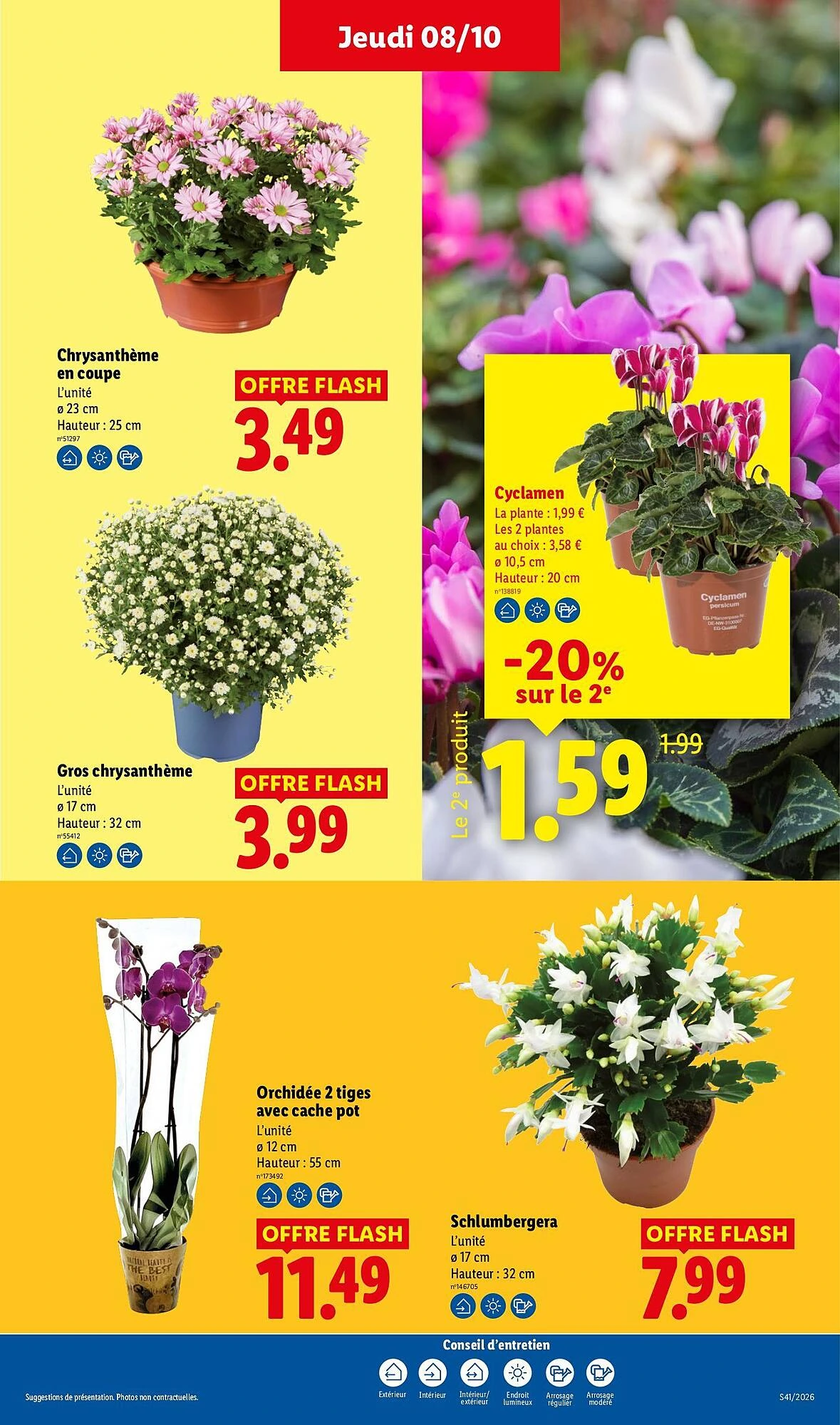 Catalogue Lidl du 8 au 14 octobre 2026, page 29 sur 61